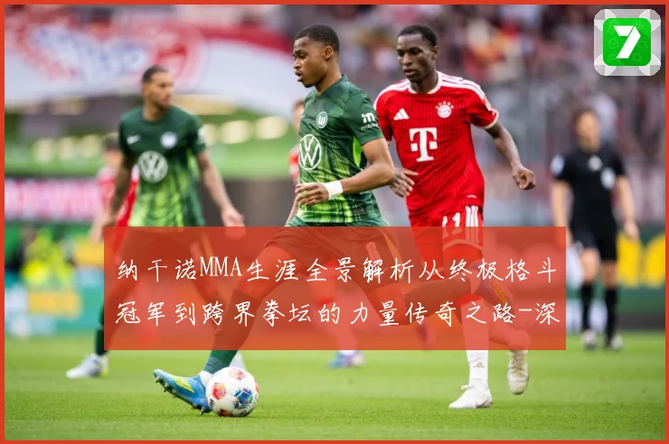纳干诺MMA生涯全景解析从终极格斗冠军到跨界拳坛的力量传奇之路-深度解析