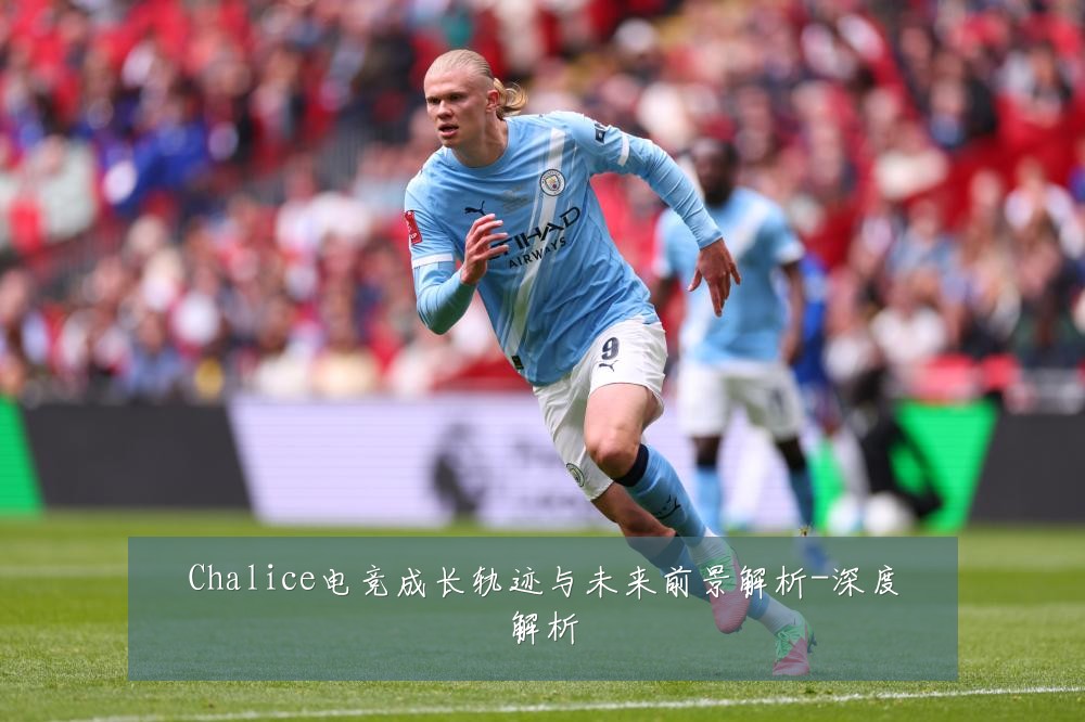 Chalice电竞成长轨迹与未来前景解析-深度解析